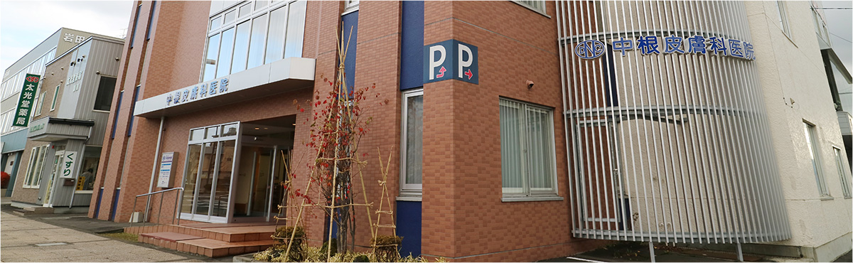 旭川の中根皮膚科医院