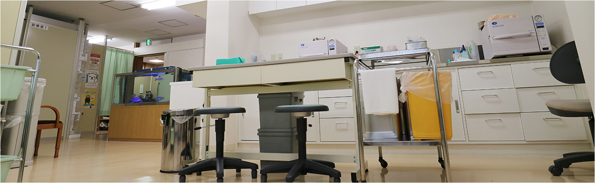 旭川の中根皮膚科医院